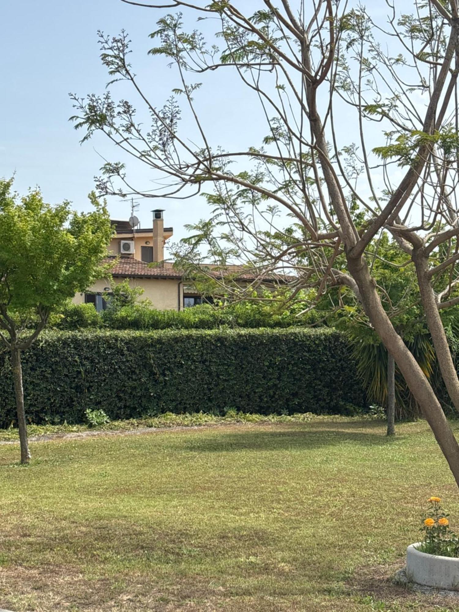 Villa Laregina Grisolia Exterior photo